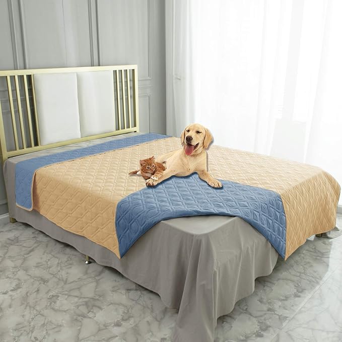 Bedroom Beds & Furniture