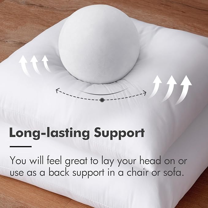 MIULEE Throw Pillow Insert Premium Pillow Stuffer Sham Square for Decorative Cushion Bed Couch Sofa 28x28 Inch