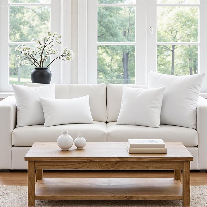 MIULEE Throw Pillow Insert Premium Pillow Stuffer Sham Square for Decorative Cushion Bed Couch Sofa 24x24 Inch