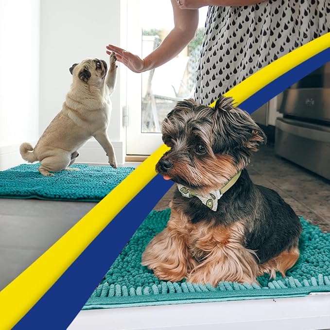 Muddy Mat® | Super Absorbent Door Mat Indoor, Microfiber Quick Dry Chenille Entryway Rug, Non-Slip Front Door Mat, Indoor Mats for Entryway, Machine Washable Pet Rug, Teal 24"x60"