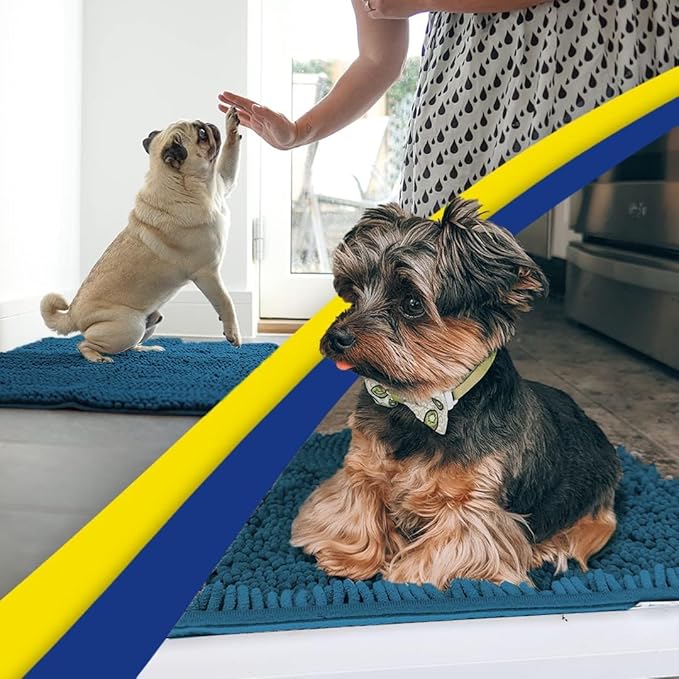 Muddy Mat® | Super Absorbent Door Mat Indoor, Microfiber Quick Dry Chenille Entryway Rug, Non-Slip Front Door Mat, Indoor Mats for Entryway, Machine Washable Pet Rug, Atlantic Blue 6ft x 9ft