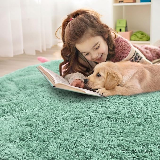 OLANLY Mint Green Round Rugs for Bedroom - Machine Washable, 5 ft Circle Area Rugs for Living Room, Soft and Fluffy Shaggy Carpet for Teen Girls and Boys, Nursery Rooms, Dorms, Home Decor Aesthetic