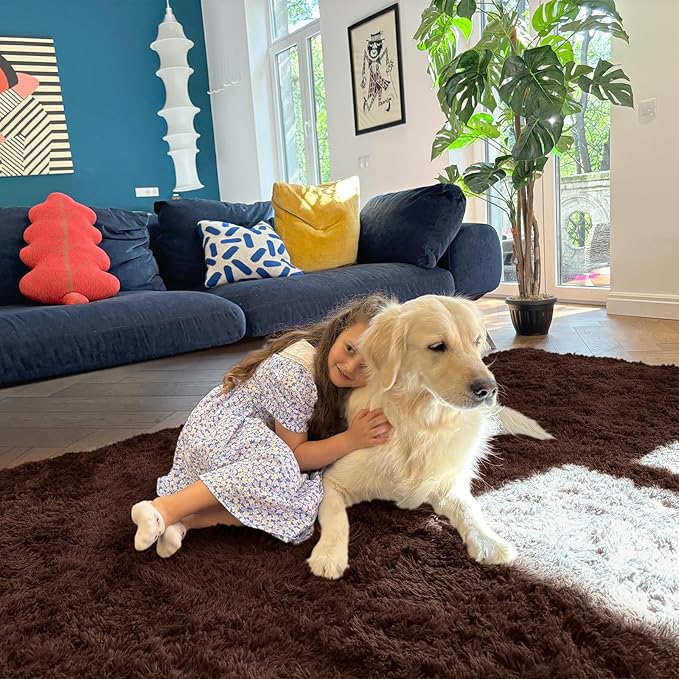 OLANLY 5x5 Area Rugs for Living Room Bedroom, Machine Washable Soft Fluffy Shaggy Bedside Rug, Indoor Floor Carpet for Kids Girls and Boys, Dorms, Nursery Rooms, Home Decor Aesthetic, Coffee