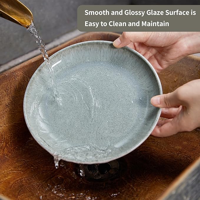 Ceramic Plates, 8.0 Inch Round Stoneware Salad Plates Use for Dessert, Salad, Appetizer, Microwave and Dishwasher Safe, Scratch Resistant Small Dinner Plate of 6