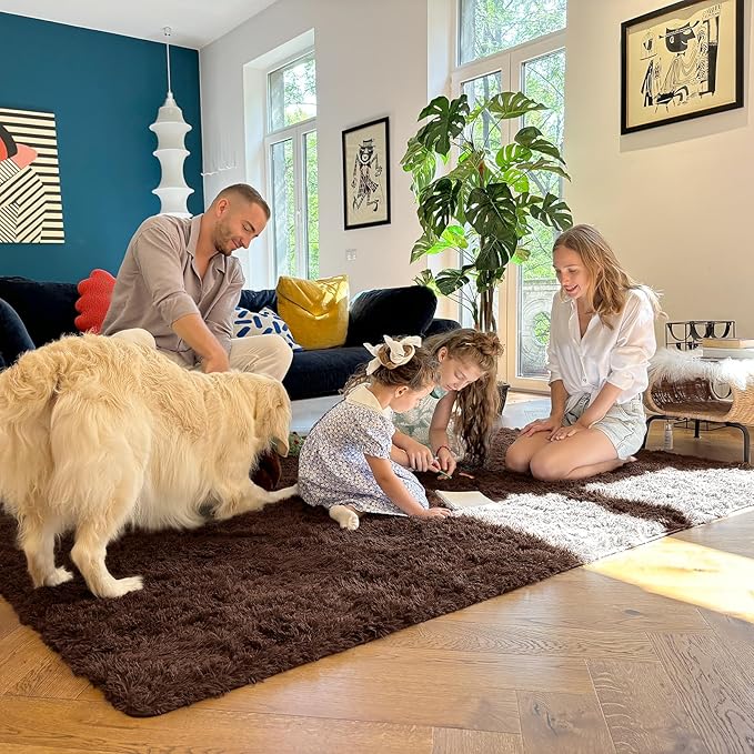 OLANLY 7x12 Machine Washable Large Area Rugs for Living Room, Bedroom, Soft Fluffy Shaggy Bedside Rug, Indoor Floor Carpet for Kids Girls and Boys, Dorms, Nursery, Home Decor Aesthetic, Coffee
