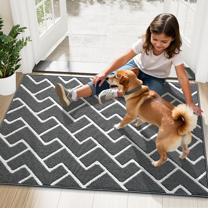 OLANLY Front Door Mat, Non-Slip Rubber Backing, Dirt Resistant and Absorbent, Washable, Easy to Clean Low-Profile Indoor Doormat for Back Door, Entryway, Inside Entrance, 32x20, Charcoal