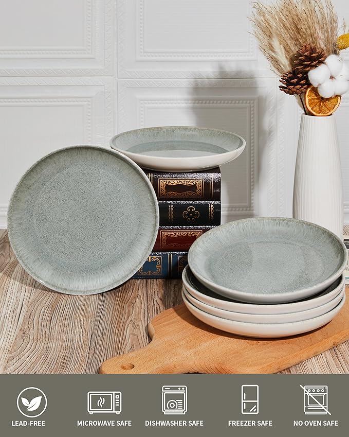 Ceramic Plates, 8.0 Inch Round Stoneware Salad Plates Use for Dessert, Salad, Appetizer, Microwave and Dishwasher Safe, Scratch Resistant Small Dinner Plate of 6