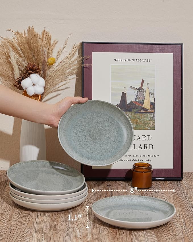 Ceramic Plates, 8.0 Inch Round Stoneware Salad Plates Use for Dessert, Salad, Appetizer, Microwave and Dishwasher Safe, Scratch Resistant Small Dinner Plate of 6