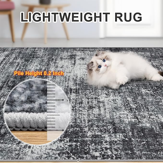 Area Rugs 9x12 Living Room - Washable Rug Modern Abstract Soft Large Neutral Non-Slip Carpet Indoor Floor Thin Carpets for Bedroom Dining Room Farmhouse Nursery Home Office Dark Black