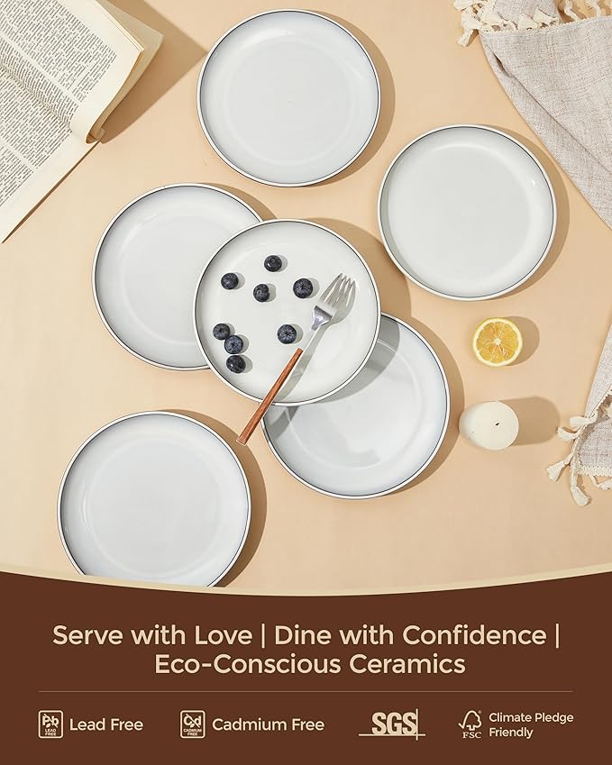 Salad Plates Set of 6, Microwave Safe Plates for Dessert, Appetizer, Scratch Resistant and Dishwasher Safe, Moonstone White