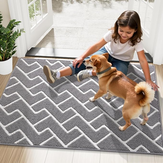 OLANLY Front Door Mat, Non-Slip Rubber Backing, Dirt Resistant and Absorbent, Washable, Easy to Clean Low-Profile Indoor Doormat for Back Door, Entryway, Inside Entrance, 48x32, Grey