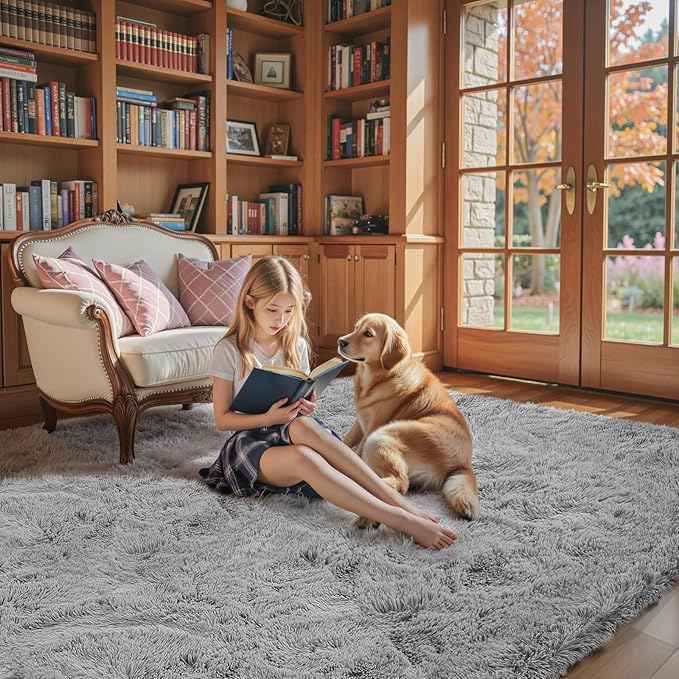 Ultra Soft Rug for Living Room, 3x5 Feet Grey Shag Area Rugs for Living Room, Modern Shaggy Carpets for Teens Dorm Nursery Home, Non Slip Indoor Rugs Floor Carpet(3 x 5, Light Grey)