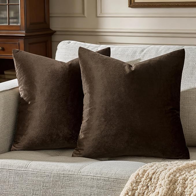 GIGIZAZA Brown Velvet Pillow Covers 20x20,Square Solid Throw Pillow Covers Decorative Modern Pillows Big Vintage Cases for Couch Pack of 2