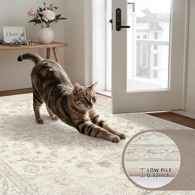 6x9 Area Rugs for Living Room: Vintage Boho Neutral Washable Rug Indoor Soft Large Area Rug Carpet for Bedroom Nursery Farmhouse Dining Room Office Floor Non-Slip Low Pile Under Table Rug Beige White
