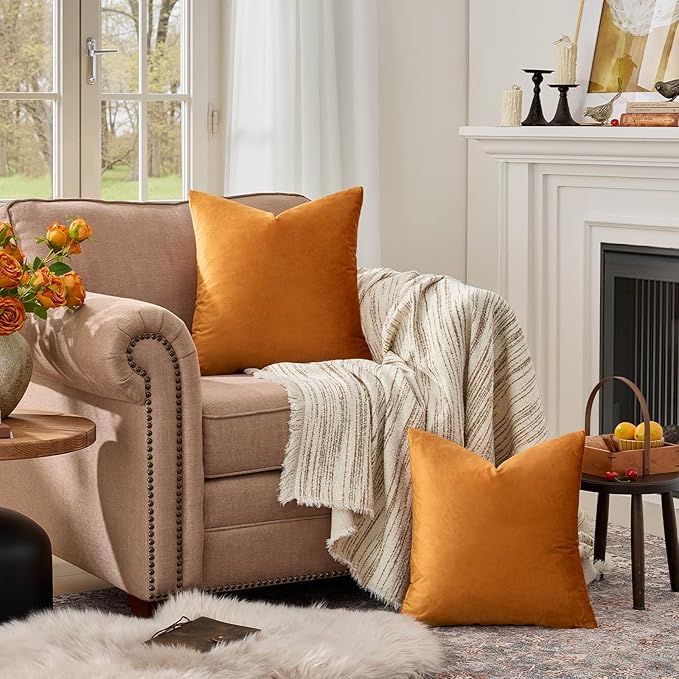 GIGIZAZA Decorative Couch Throw Pillow Covers,Set of 2 Burnt Orange Square Pillow Cushion Covers 24x24,Pillow Cases Velvet Pillow Covers