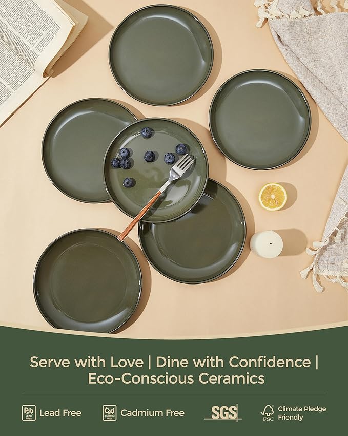 8 Inch Ceramic Plates Set, Microwave Safe Plates, Kitchen Serving Dishes, Scratch Resistant and Dishwasher Safe, Blackish Green