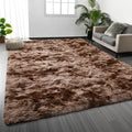 Deerhoo Large Shag Area Rugs 5 x 8, Tie-Dyed Plush Fuzzy Rugs for Living Room, Ultra Soft Fluffy Furry Rug for Bedroom, Indoor Carpet Nursery Rugs for Kids Room Home Decor, Coffee