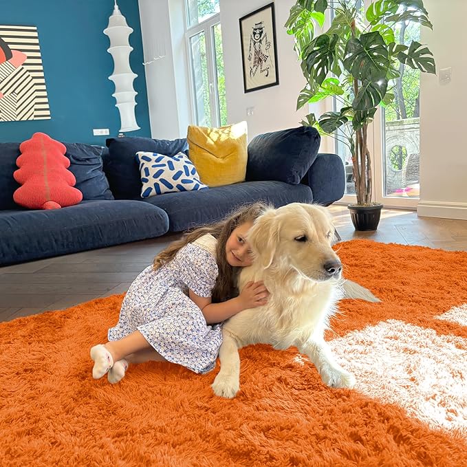 OLANLY Area Rugs for Living Room Bedroom, Machine Washable 4x5.9 ft Soft Fluffy Shaggy Bedside Rug, Indoor Floor Carpet for Kids Girls and Boys, Dorms, Nursery Rooms, Home Decor Aesthetic, Orange