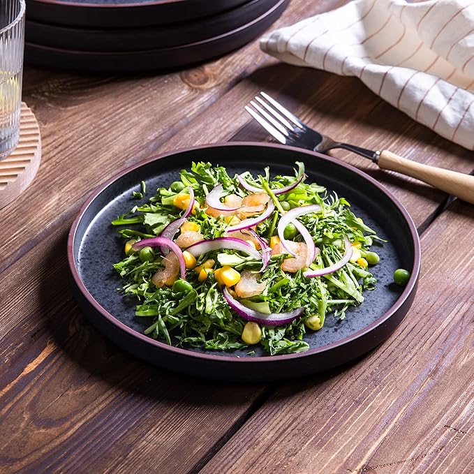 LERATIO Dinner Plates,Ceramic Dinner Plates Set of 6,10.75 inch Large ceramic plates,Modern Shape Dinnerware Dishes Set for Kitchen, Microwave & Dishwasher & Oven Safe-Coffee Rim