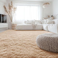 OLANLY 6x10 Machine Washable Large Area Rugs for Living Room, Bedroom, Soft Fluffy Shaggy Bedside Rug, Indoor Floor Carpet for Kids Girls and Boys, Dorms, Nursery, Home Decor Aesthetic, Beige