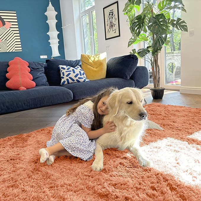 OLANLY 5x8 Machine Washable Large Area Rugs for Living Room, Bedroom, Soft Fluffy Shaggy Bedside Rug, Indoor Floor Carpet for Kids Girls and Boys, Dorms, Nursery, Home Decor Aesthetic, Muted Orange