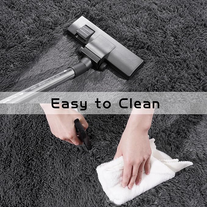 Pionblank Fluffy Small Rug for Bedroom 2x3 Feet, Shag Soft Area Rug for Bedside, Modern Plush Cute Carpet for Kids Girls Boys Room Nursery Decor, Charcoal Grey