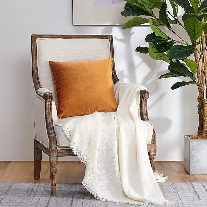 GIGIZAZA Decorative Throw Pillow Covers for Sofa,Cinnamon Burnt Orange Velvet Bed 2 Pack Soft Cushion Cover