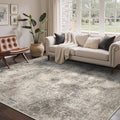 Area Rugs 9x12 for Living Room Bedroom, Modern Abstract Machine Washable Rug, Large Soft Low Pile Floor Carpet with Non Slip Backing for Dining Room, Grey